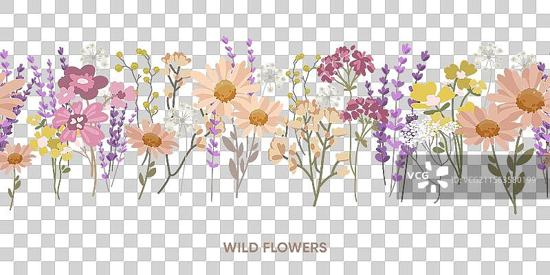 野花的花卉无缝图案边框图片素材