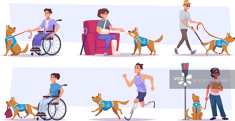 残疾与宠物：狗帮助盲人图片素材