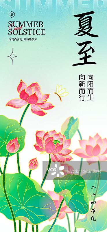 夏至荷花夏季节气海报图片素材