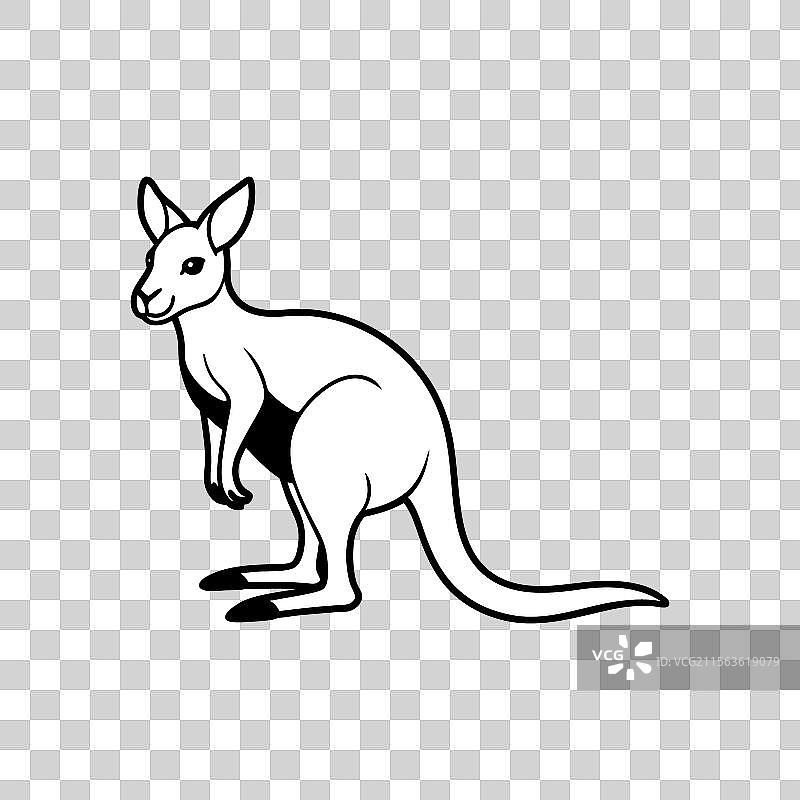 白色背景上的袋鼠图片素材