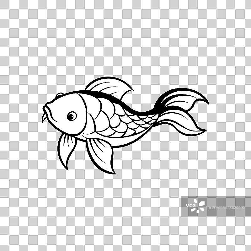 白色背景上的锦鲤图片素材