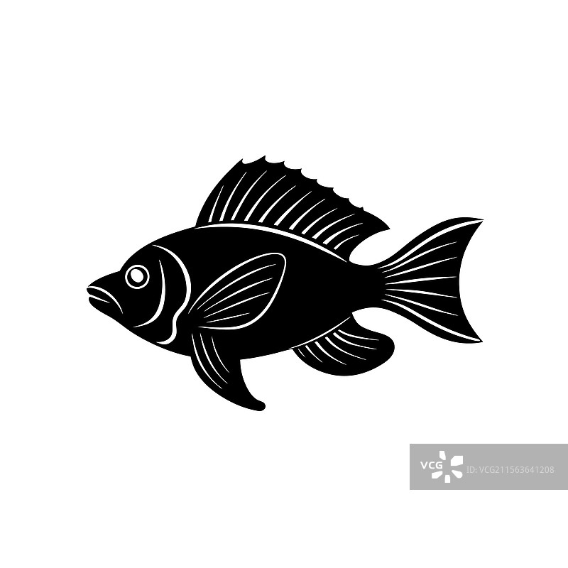 皇家格拉玛鱼的剪影艺术与黑色皇家风格图片素材