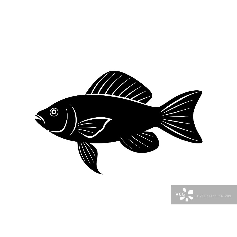 皇家格拉玛鱼的剪影艺术与黑色皇家风格图片素材