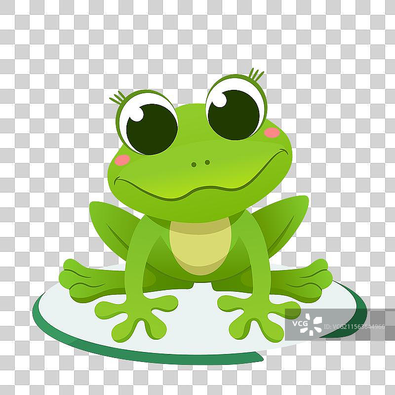 美丽的青蛙在孤立背景上图片素材