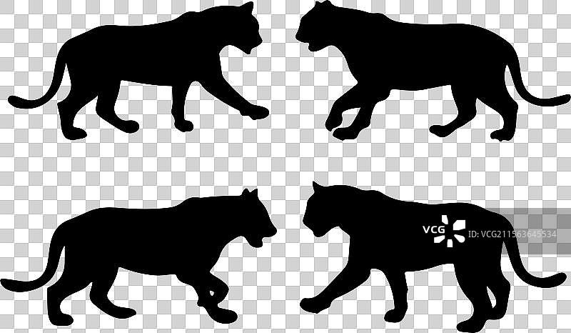 老虎剪影的集合图片素材