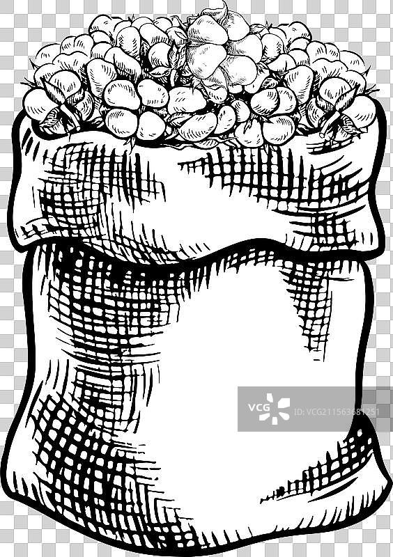 有机棉制成的画布袋，装满了收获的农作物图片素材