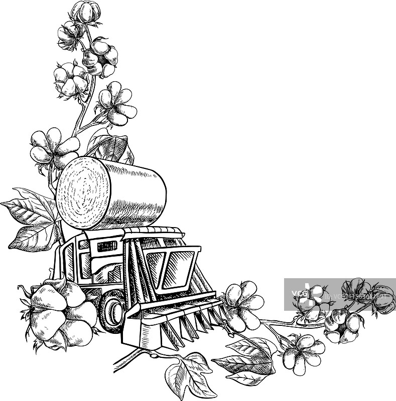 一个装有棉花的框架和一台棉花收割机图片素材