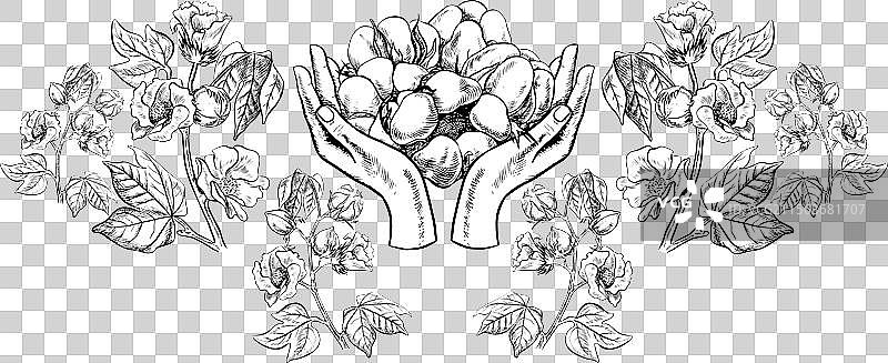 有机棉边框框架与手部图片素材