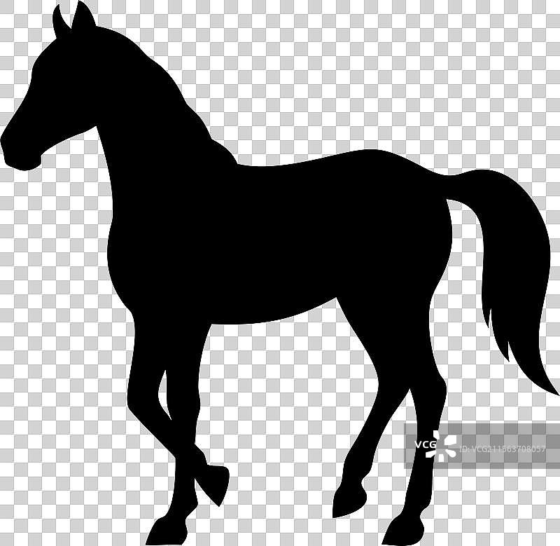 马的轮廓图片素材