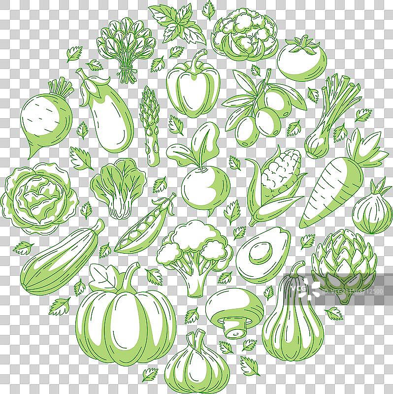 新鲜农场蔬菜的圆形蔬菜图片素材