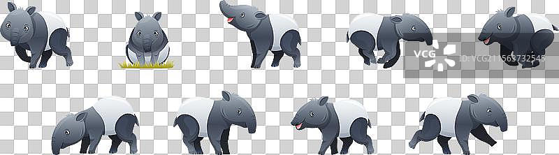 可爱的马来貘，作为一种亚洲动物，身上有白色。图片素材