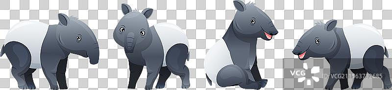 可爱的马来貘，作为亚洲动物，带有白色特征。图片素材