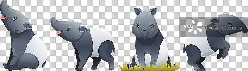 可爱的马来貘，作为一种亚洲动物，身上有白色。图片素材