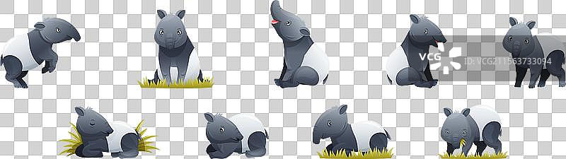 可爱的马来犀牛猪作为亚洲动物，带有白色特征图片素材