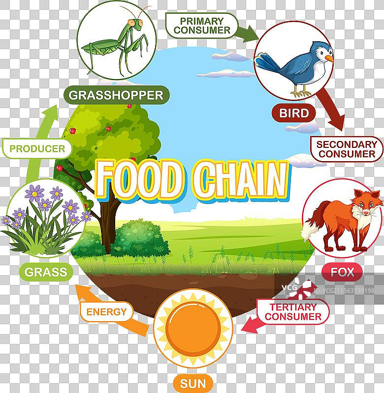 描绘了一个简单的食物链循环图片素材