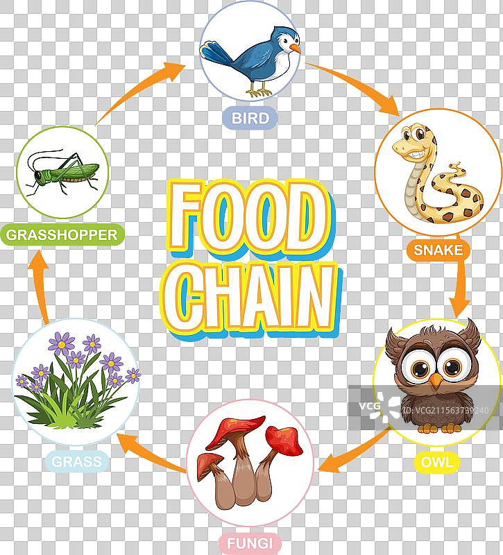 描绘了一个简单的食物链循环图片素材