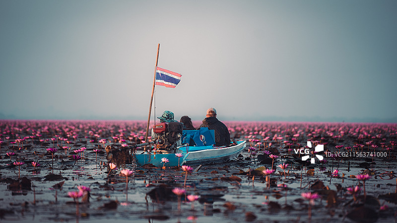 泰国乌隆他尼红莲湖图片素材