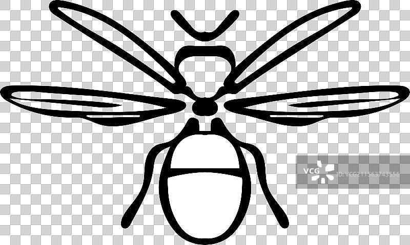 极简风格的蜜蜂狼黄蜂图标设计图片素材