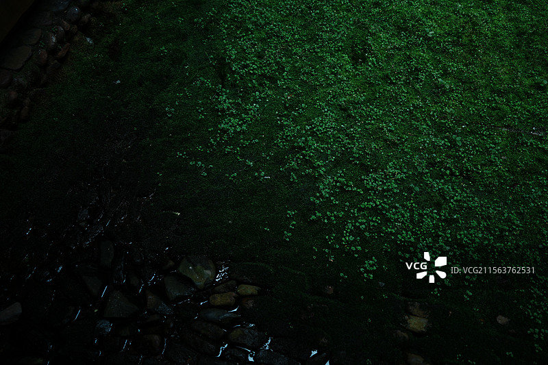 龙岩土楼和贵楼图片素材