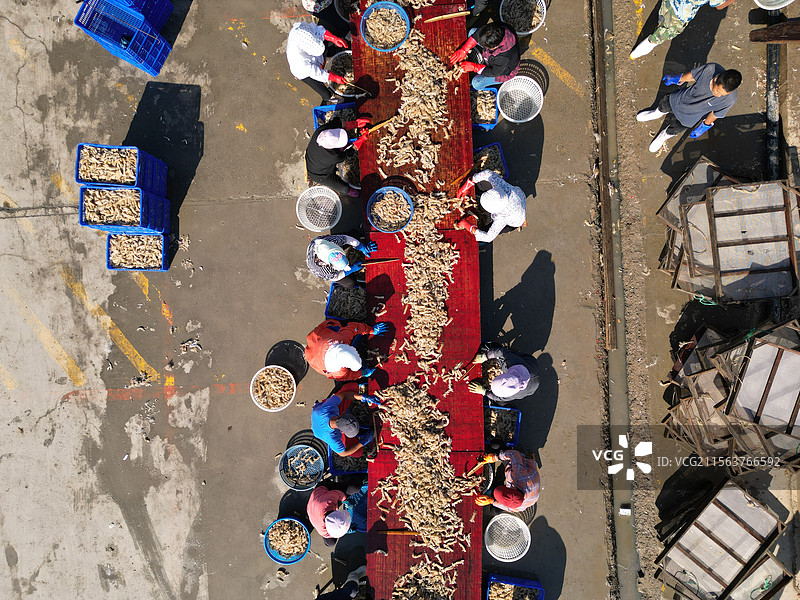 黄河口中心渔港图片素材