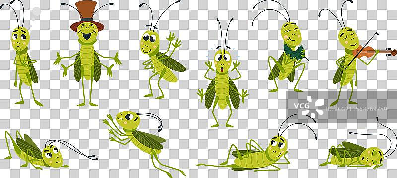 卡通蚱蜢，孤立的蚱蜢在图片素材
