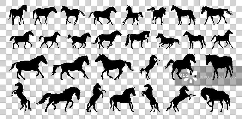 马的轮廓剪影，展示不同姿势的马图片素材