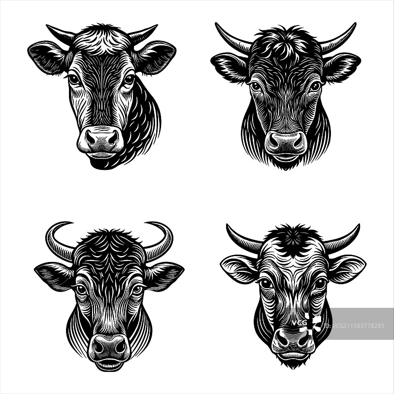 加利西亚金发女郎图片素材