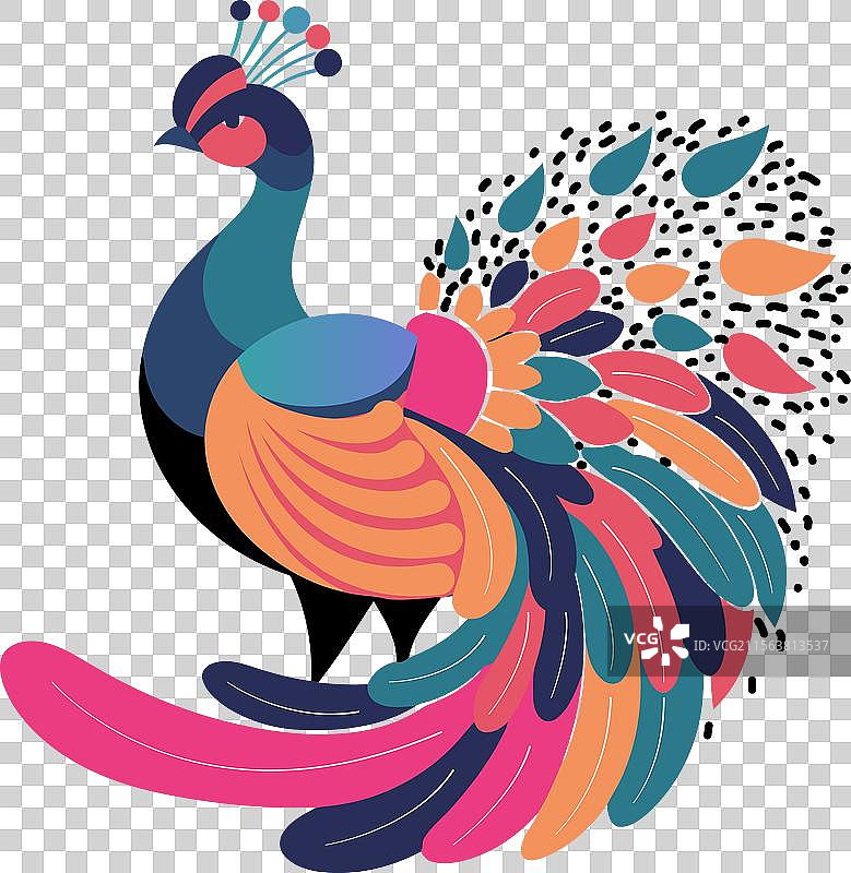 色彩斑斓的孔雀平面图图片素材