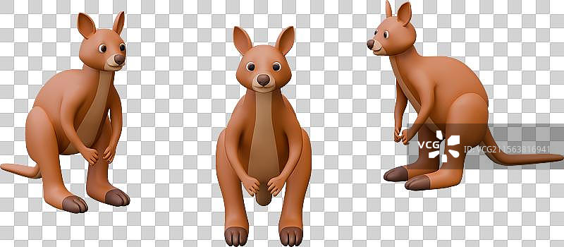 3D大袋鼠从不同角度的野生视图图片素材