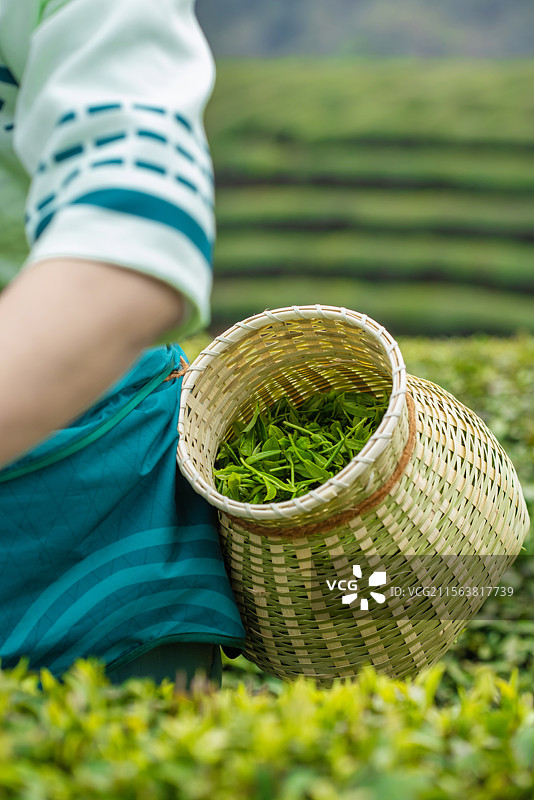 茶篓特写图片素材