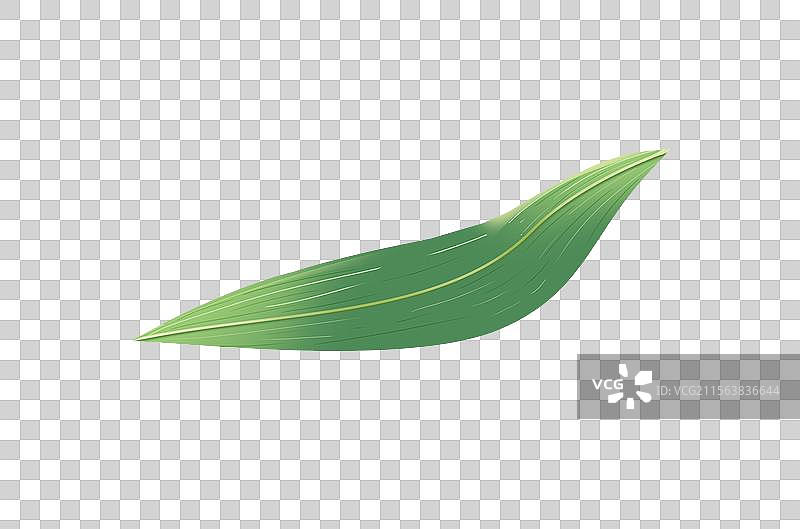 端午节粽叶插画元素图片素材