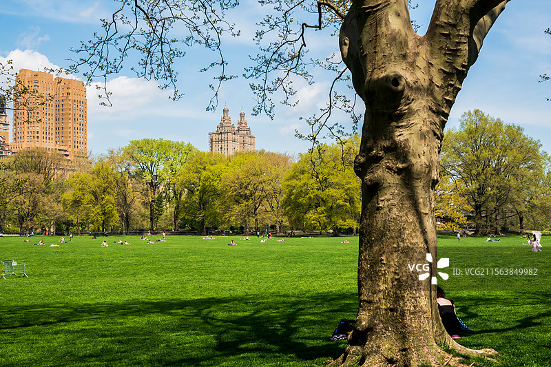 纽约掠影—中央公园与当代建筑图片素材