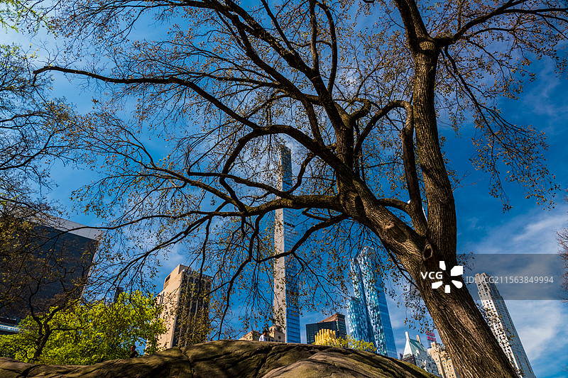 纽约掠影—中央公园与当代建筑图片素材