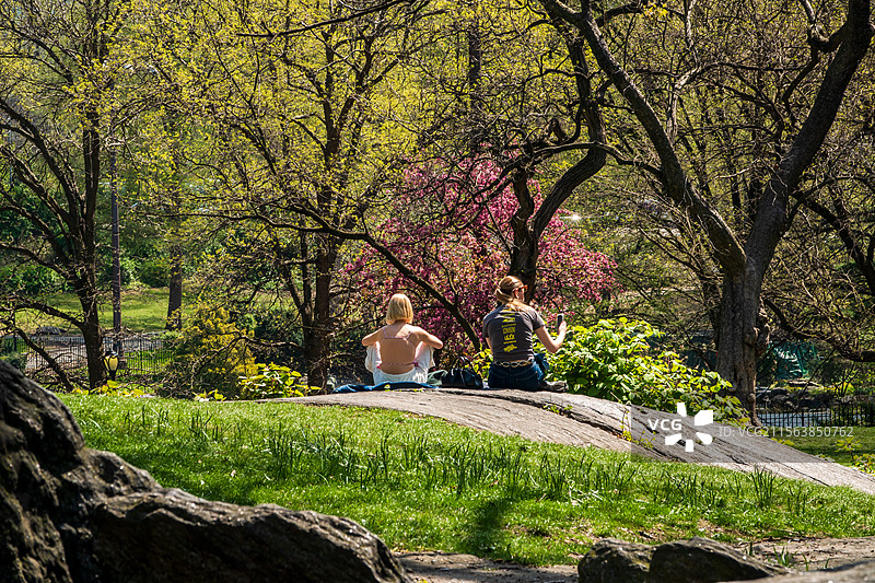 纽约掠影—中央公园与当代建筑图片素材