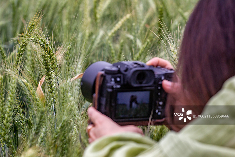 四川省绵阳市影像，摄影，视频，拍摄图片素材