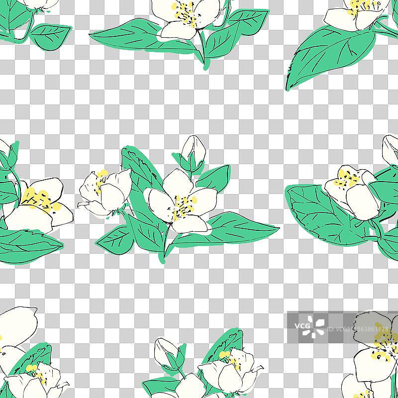 茉莉花的无缝图案图片素材