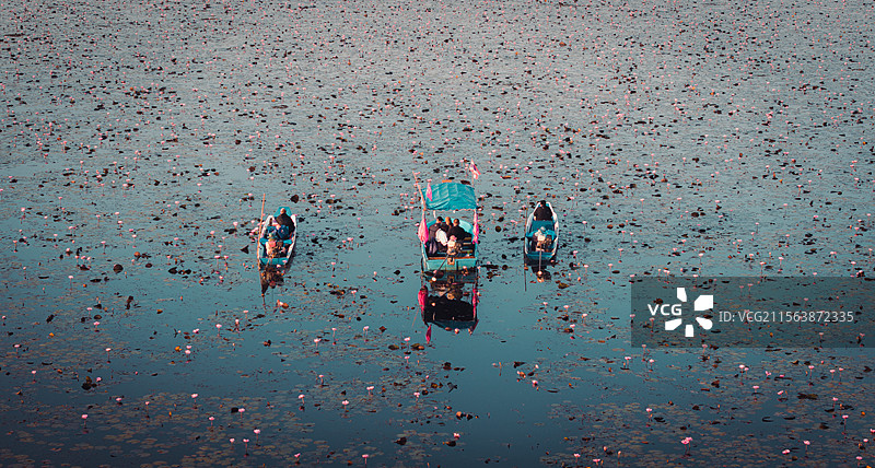 泰国乌隆他尼红莲湖图片素材