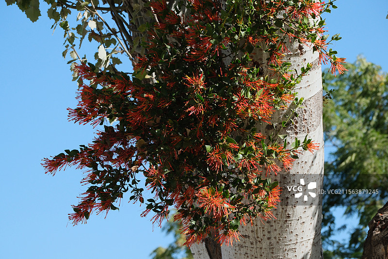 智利 圣地亚哥 著名景点图片素材