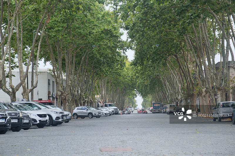 乌拉圭 小镇 科洛尼亚 古城图片素材