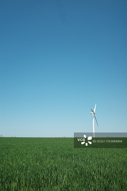 威海荣成东楮岛风景区麦田里孤独的风车图片素材