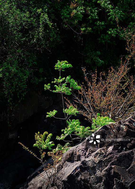 无锡龙头渚图片素材