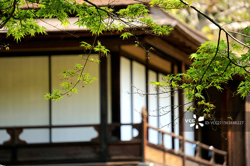 日本神奈川县横滨市，春天的三溪园图片素材