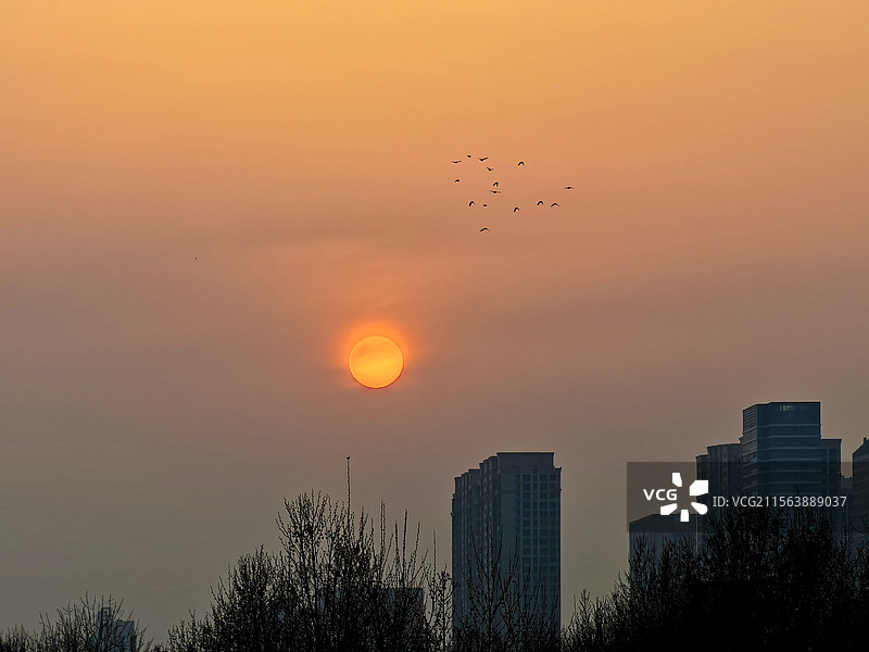 飞鸟逐夕阳2图片素材