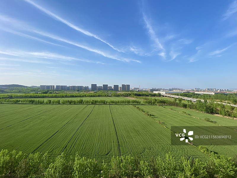 麦田蓝天图片素材