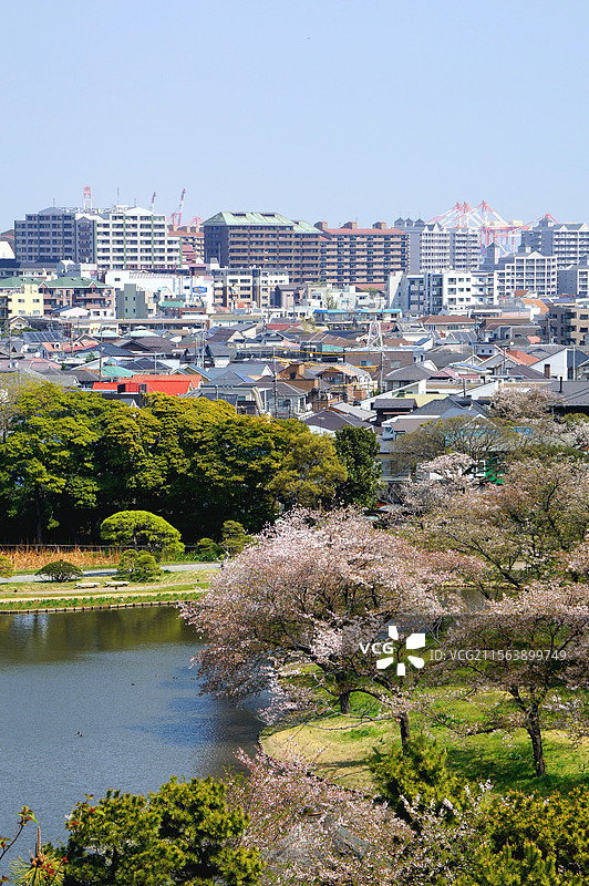 日本神奈川县横滨市，从三溪园眺望横滨市的住宅区图片素材