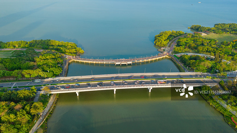 深圳人才公园城市湖畔的桥梁风光图片素材