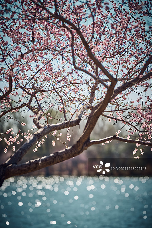 北京大兴念坛公园图片素材