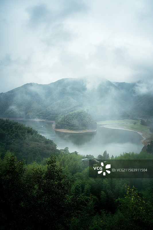 山雾饲养的绿图片素材