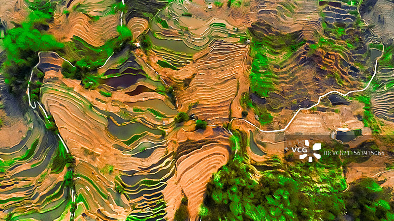 元阳梯田！图片素材