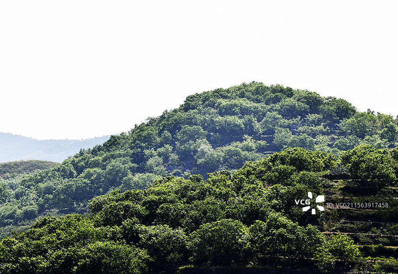 全国绿化模范县”山东枣庄山亭区群峰拥翠图片素材
